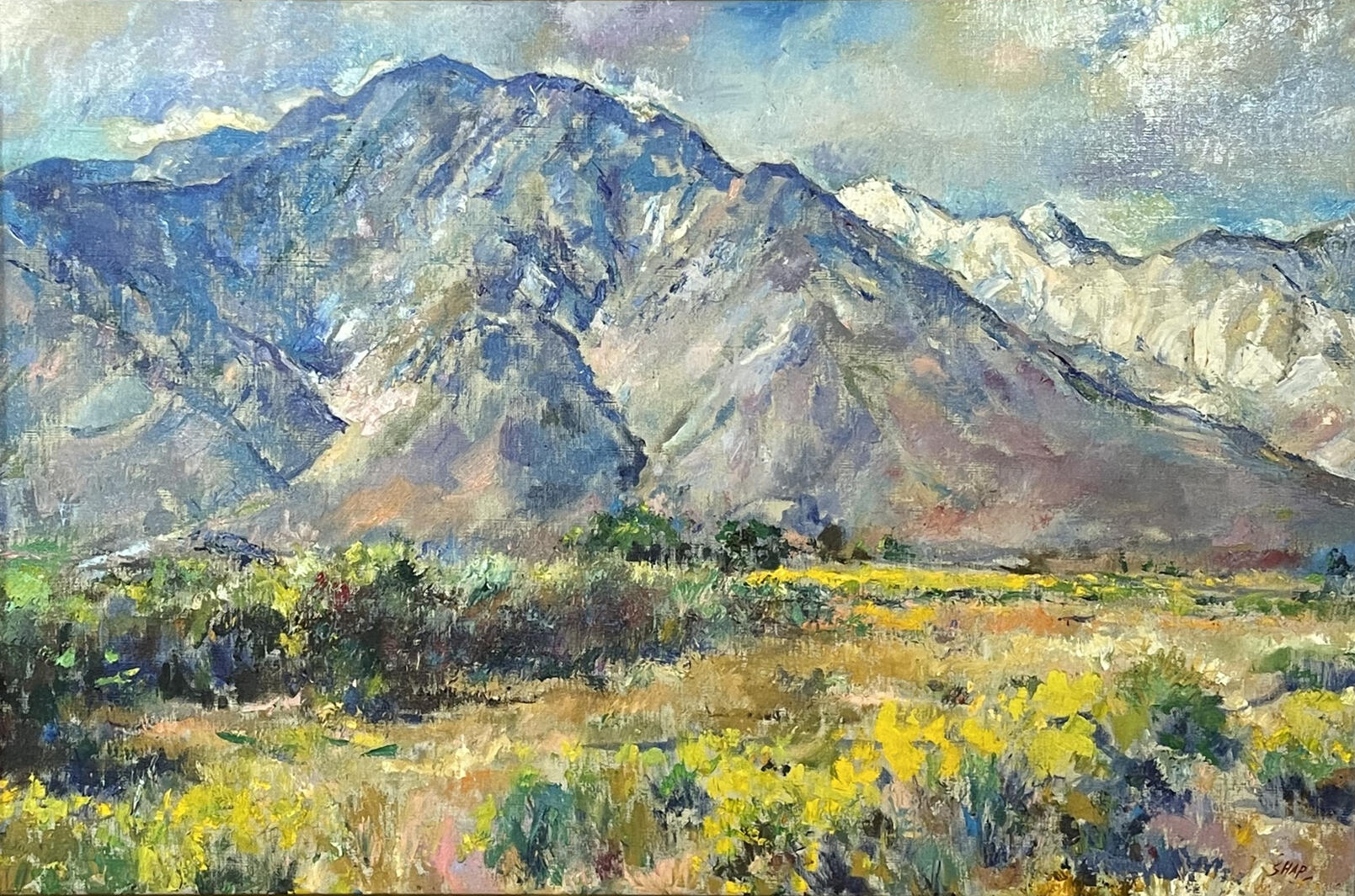 Spring on the Sierra Madre, 30x20"